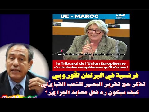 فرنسية في البرلمان الأوروبي تذكر حق تقرير المصير للشعب القبائلي