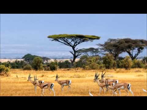 Airplay 47:Africa (Silva remix)