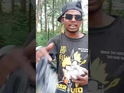 #rsr #rsr2024 #hazaribagh #freestyle #rsroemanimuhammadiyah #rsa_photo_of_the_day #rsr100