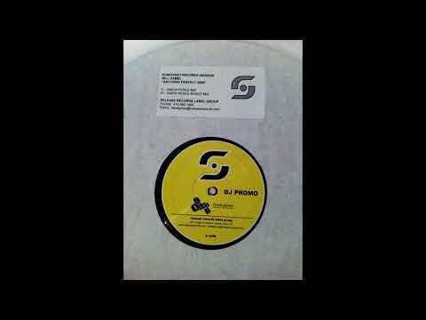 Bill Hamel Feat. Madelin Zero - Anything Perfect (Simon Noble Bonus Mix) [2005]