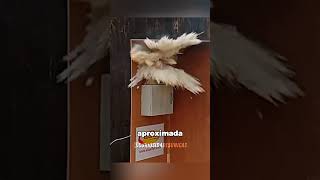 Como funciona uma bola extintora? 🧯#curiosidades #fatoscuriosos #shorts