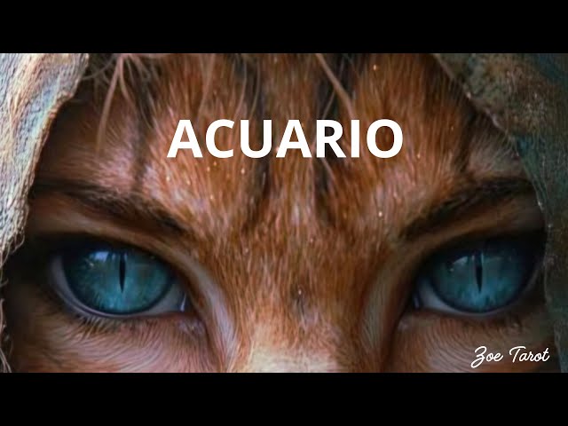 Vídeo relacionado con RIXERKOC Signo del Zodiaco Collar para Mujeres Constelación Tarot Colgante Doble Cara 18K Oro Inoxidable Signo del Zodiaco Joyería Regalos para Chicas (Tauro)