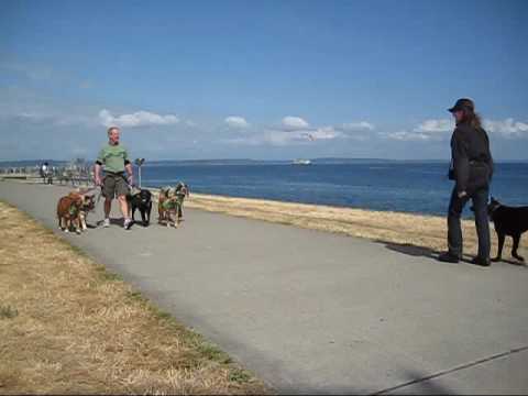 Left Coast Dogs Cruise Alki