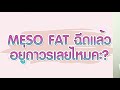 เมโสแฟตเหนียง