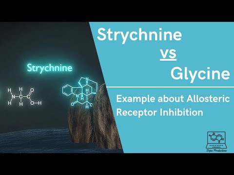 Strychnine vs Glycine-Example of Allosteric Receptor Inhibition