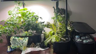 02-11-2026 Hydroponic & WIG2025 update