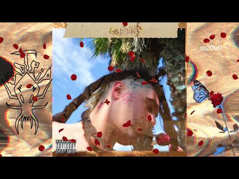 GOLDFACEMONEYWATCH - GOLDIEDO$ (FULL MIXTAPE 2021) [Audio Visualizer]