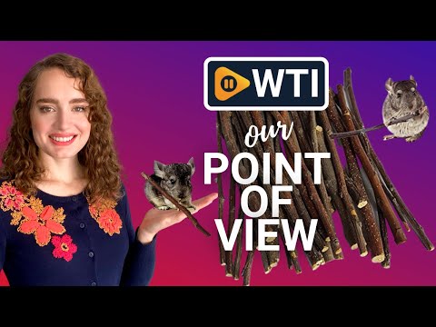 Apple Sticks - WTI product video review