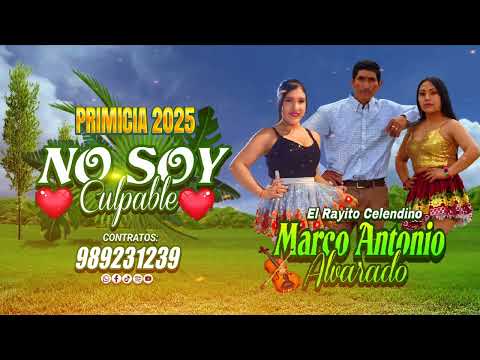 MARCO ANTONIO ALVARADO - NO SOY CULPABLE PRIMICIA 2025