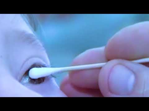 phat zoo - Time is you