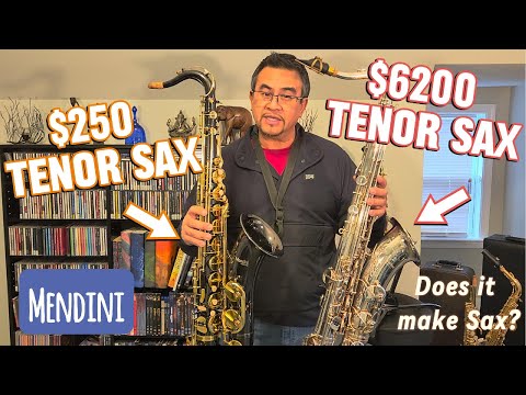 Mendini Tenor Sax Review