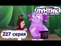 Лунтик и его друзья - 227 серия. Новые номера 