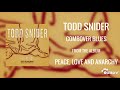 Todd Snider - Combover Blues