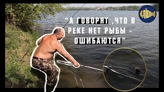 Старое русло москвы реки рыбалка