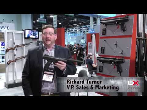 THE Handgun for Pests