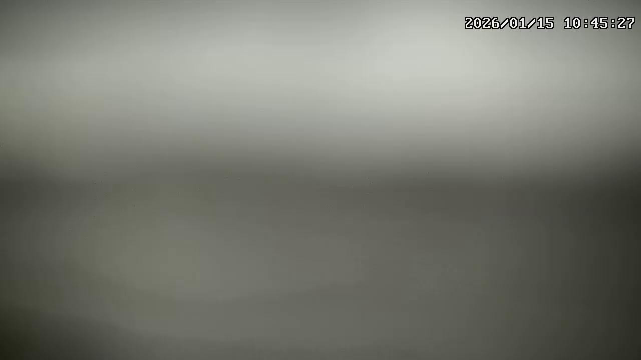 湘南 鵠沼〜新江ノ島水族館前　ライブ配信