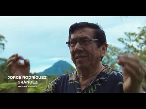 Trailer del Documental - La Danza de Los Mirlos