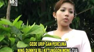 Download lagu TAKON WALI mp3