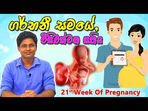 Pregnancy 21st Week | Sinhala Medical Review | අම්මයි බබයි