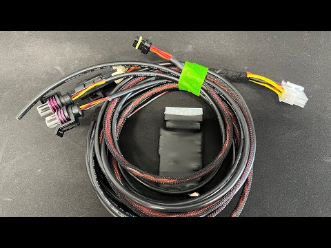 Holley IO Canbus with PNP terminated harness