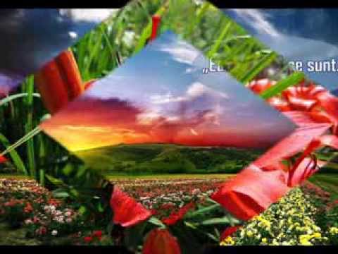 MUZICA CRESTINA - Grupul Hava Maranatha - Îndurare în pustie