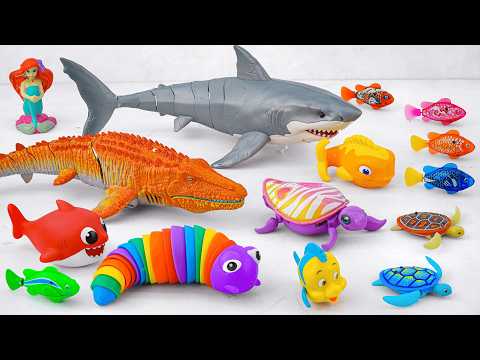 [Toy asmr] RC Shark & Crocodile & Snake & Mosasaurus & Alive Aquarium ASMR Satisfying with Unboxing