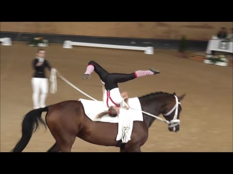 Bayerische Meisterschaft 2024 - Einzelvoltigieren - Anja Traub