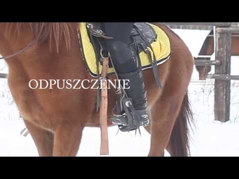 Pobieranie książek o kulturystyce i trójboju Jak podkręcić mięśnie twarzy mężczyzny