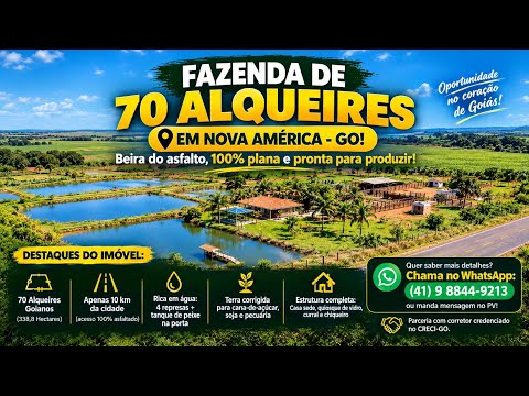 🌾 FAZENDA 70 ALQUEIRES À VENDA EM NOVA AMÉRICA - GO | BEIRA DO ASFALTO E DUPLA APTIDÃO