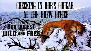 Check-in Procedure for Cougar in Oregon - Northwest Wild and Free Cougar Kill
