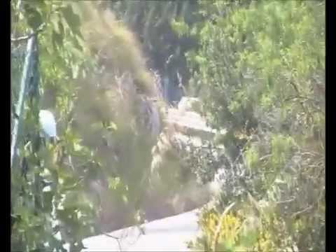 99° Targa Florio PS12 Gratteri (PARTE 1)