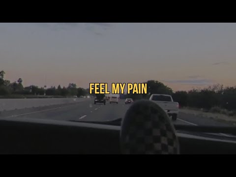 Lil Rozey ⋆ Feel My Pain (prod. Tamagothic x Abelskittles) [lyrics]