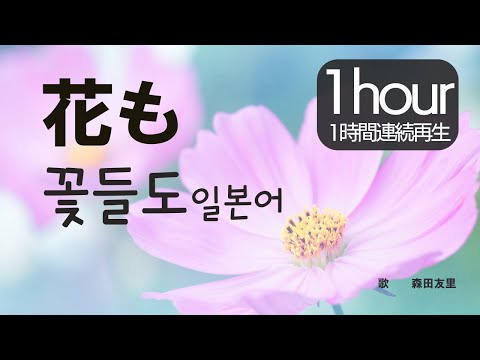 【1時間/1시간 연속 재생】花も 꽃들도 일본어 Hanamo 한글자막 Japanese