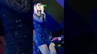 Download lagu Bojo Loro - Ririn Mungil #dangdutkoplo #bojoloro #shorts mp3 Download lagu Bojo Loro - Ririn Mungil #dangdutkoplo #bojoloro #shorts mp3