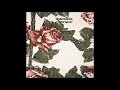 Tindersticks - Dick's Slow Song (Audio)