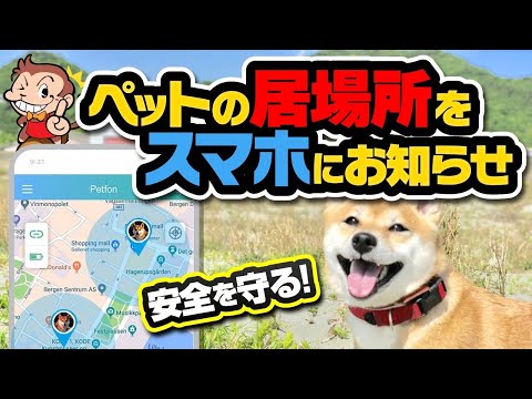 GPS と Bluetooth のどちらの動物追跡装置が最も安全ですか?