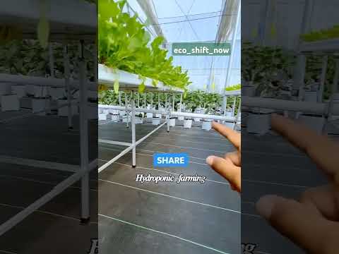 Hydroponic farming         "Small changes ,big Impact "🍀💧♻️🌍 #ecofarming#greenchoices