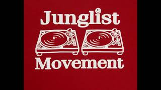Download lagu Jungle & Drum and bass - 2h mixing - Jungle 4ever - Jungle4drive ;) - mp3