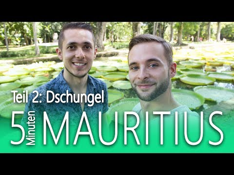 Mauritius in 5 Minuten Teil 2/2 🐵 Mauritius Dschungel Abenteuer