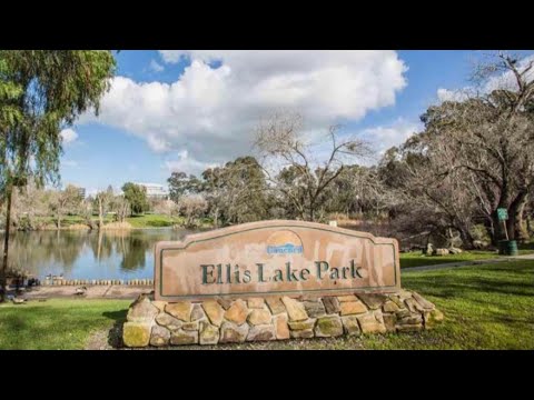 Ellis lake park | concord | California