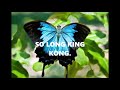 BYE BYE BUTTERFLY