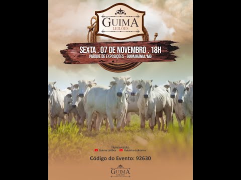 LEILÃO GUIMA LEILOES (07/11/2025 ) Leilão em Guimarânia MG