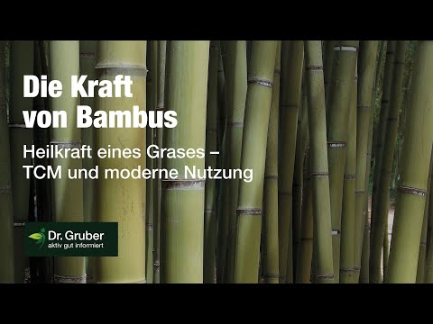 Die Kraft von Bambus | Wirkung eines Grases | Dr. Alfred Gruber