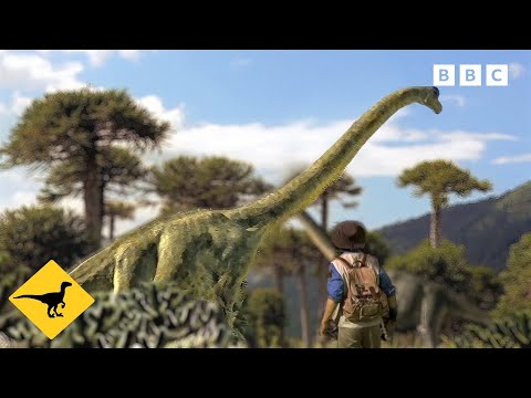 Dinosaur Marathon with Andy! | Andy's Dinosaur Adventures | Andy's Amazing Adventures