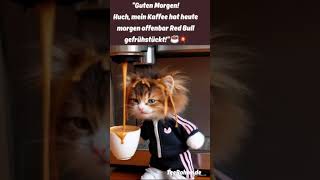Guten Morgen! #lustig #kaffee #gutenmorgen #funnycat #funnyvideo #cat #katze #shorts    ☕️💥
