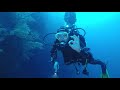 Tauchen and Diving in Canarias, #tauchen #grancanaria, Zeus Dive Center, Playa del Ingles, Gran Canaria, Spanien, Kanaren (Kanarische Inseln)
