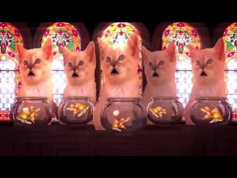 Merry CatMouse to my 5 children XXXX Sharyn