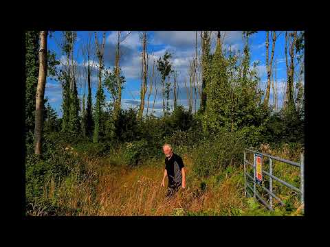 LIMERICK'S JOHN REARDON PLANTED 20,000 ASH TREES TO PRODUCE HURLEYS BUT DISEASE IS WIPING THEM OUT