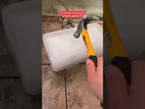 I found a giant block of ICE on the street and…