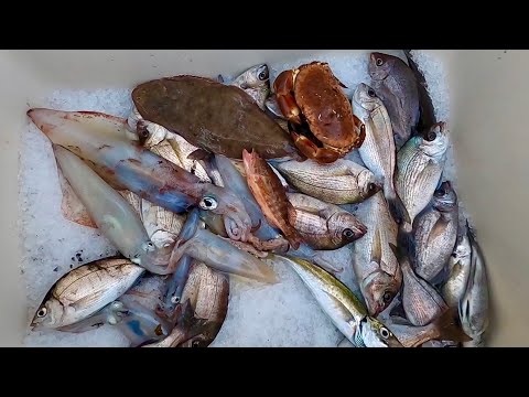 Gill Netting - Big Flatfish Catch Clean Cook  , Squid - Crabs & Great Boat Fishing